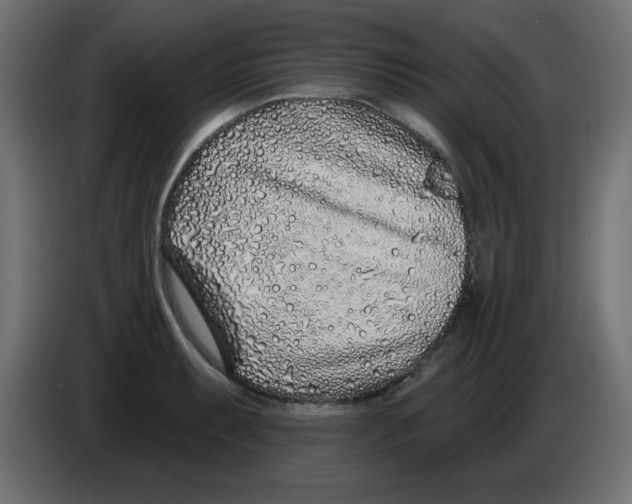X0000083021087200703021957