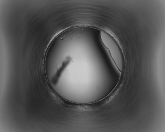 X0000083021089200703021957