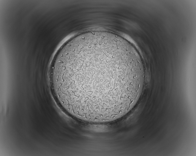 X0000083021090200703021957