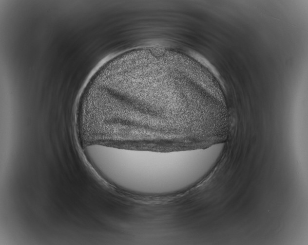 X0000083021091200703021957