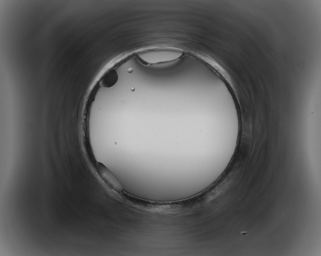 X0000083021093200703021957