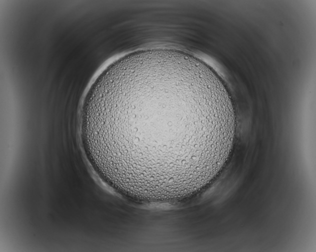 X0000083021094200703021957