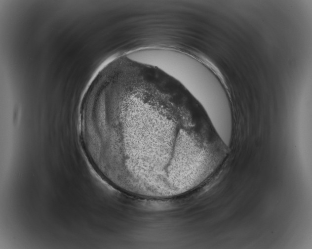 X0000083021095200703021957