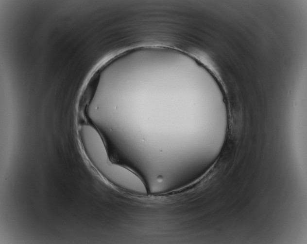 X0000083021096200703021957