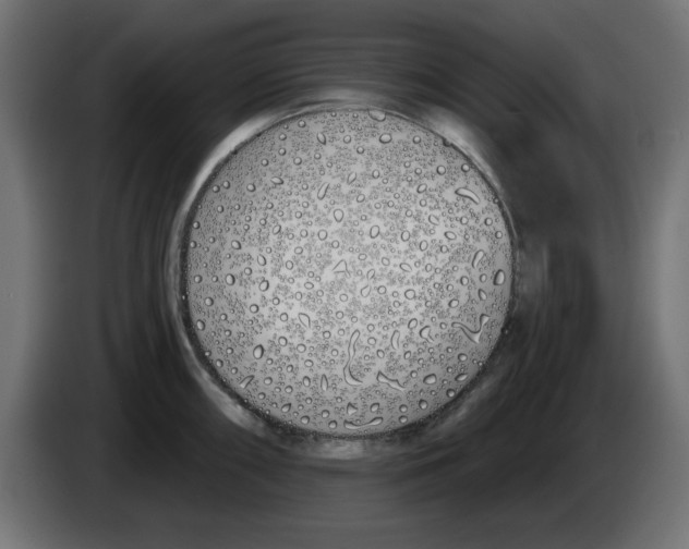 X0000083021098200703021957