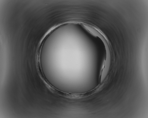 X0000083021101200703021957