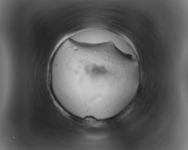 X0000083021103200703021957