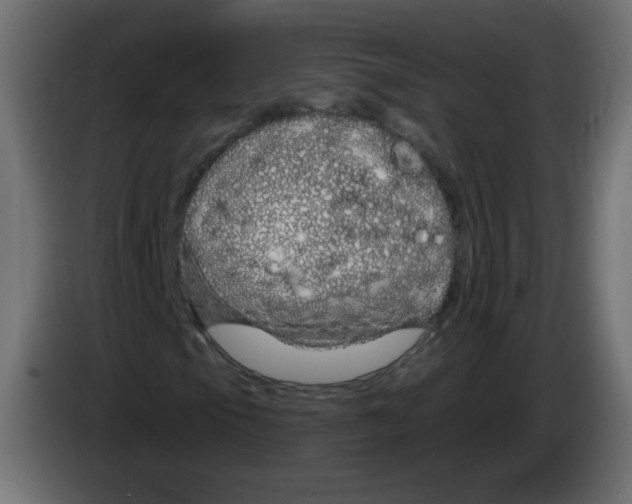 X0000083021105200703021956