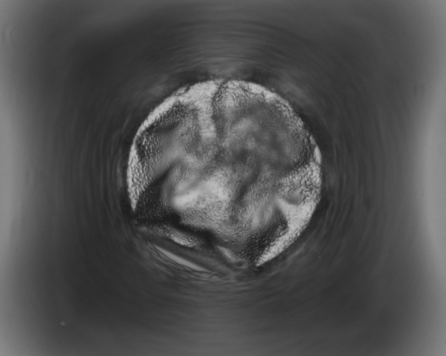 X0000083021106200703021956