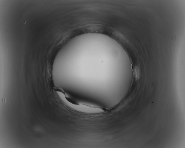 X0000083021107200703021956