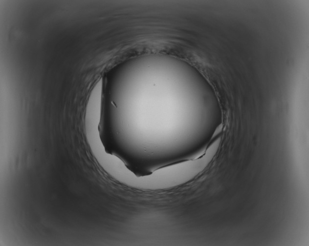 X0000083021109200703021956