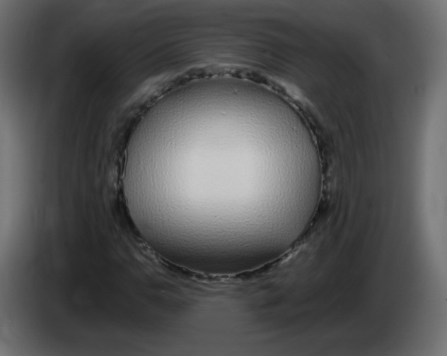 X0000083021110200703021956