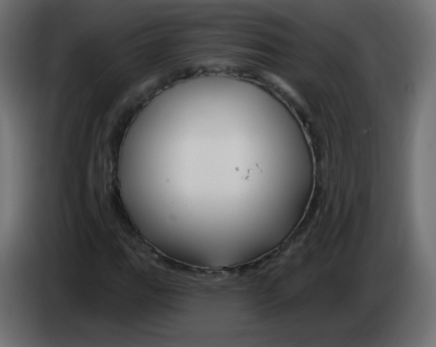 X0000083021111200703021956