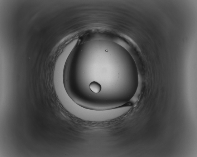 X0000083021112200703021956
