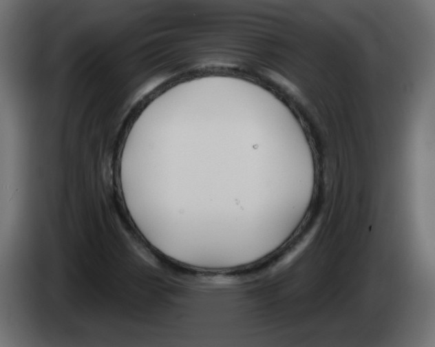 X0000083021113200703021956