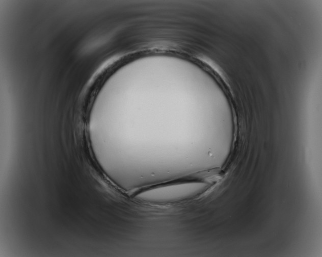 X0000083021115200703021956