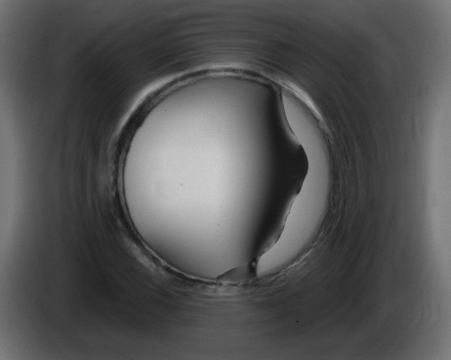 X0000083021116200703021956
