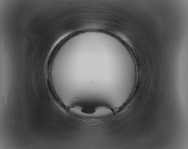 X0000083021119200703021956