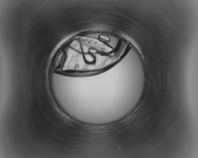 X0000083021120200703021956
