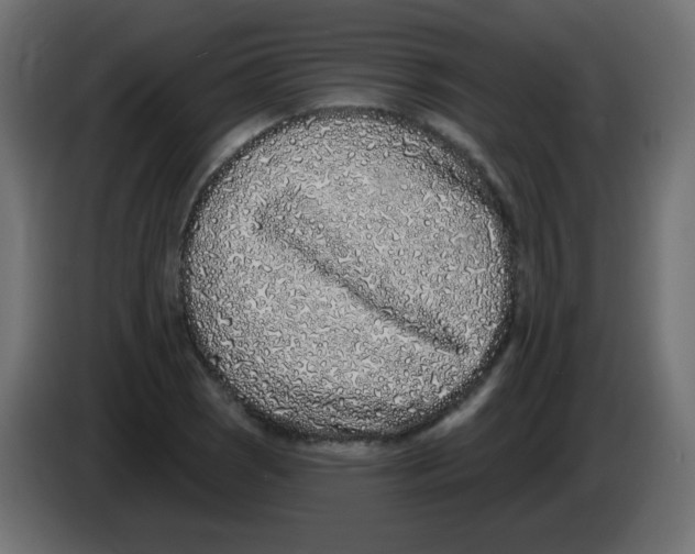 X0000083021121200703021956