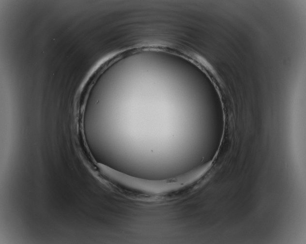 X0000083021124200703021956