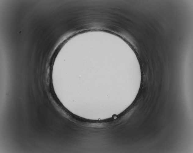 X0000083021126200703021956
