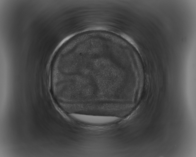 X0000083021127200703021957