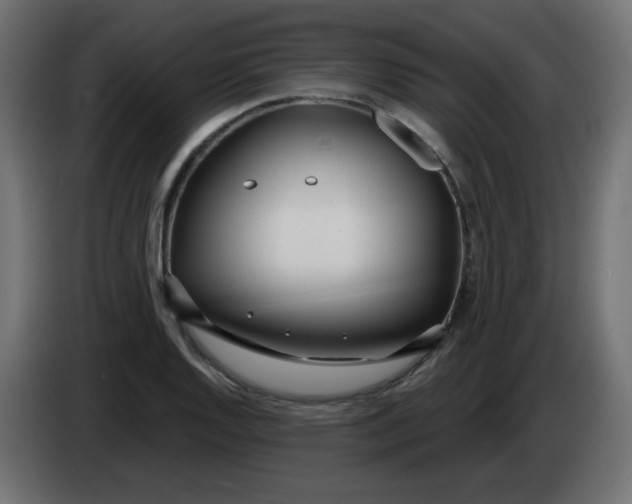X0000083021128200703021957