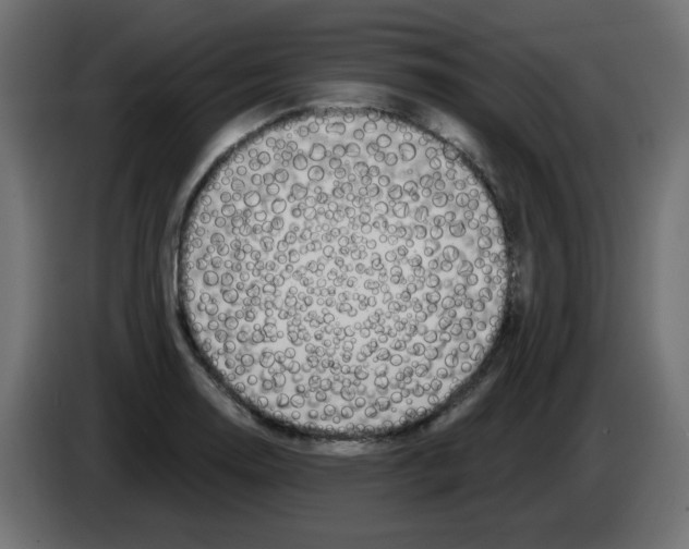 X0000083021130200703021957