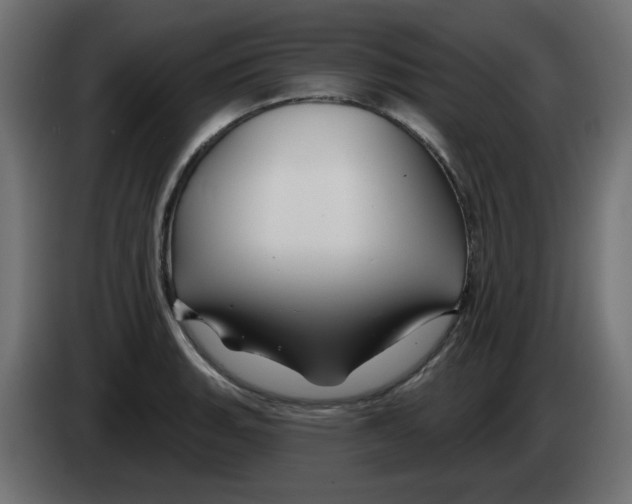 X0000083021135200703021957