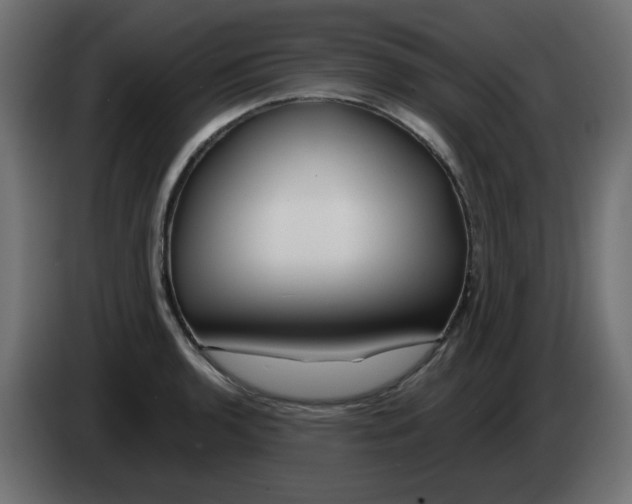 X0000083021136200703021957