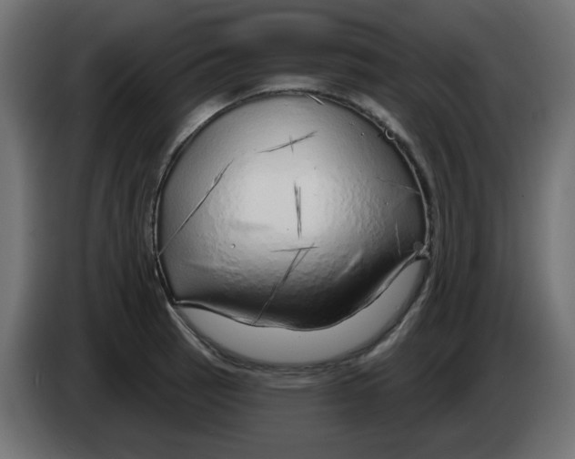 X0000083021137200703021957