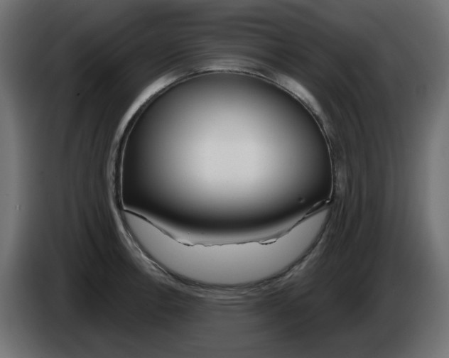 X0000083021138200703021957