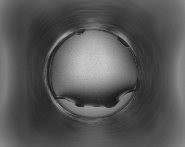 X0000083021139200703021957