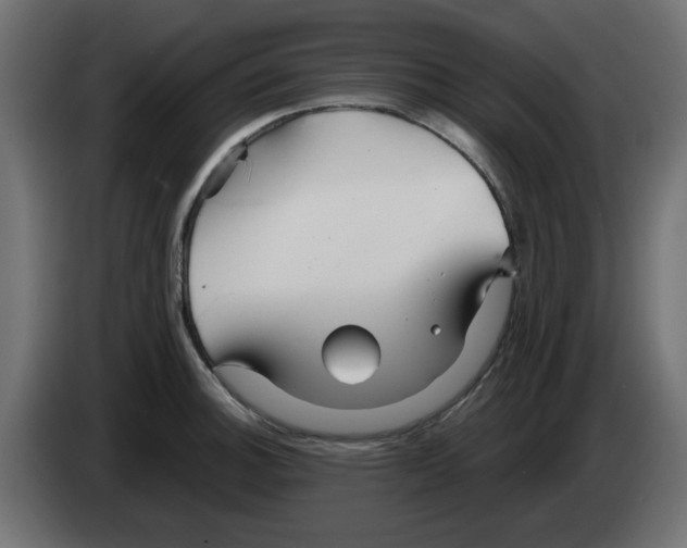 X0000083021140200703021957