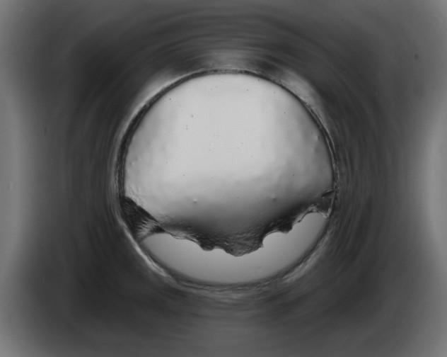 X0000083021141200703021957