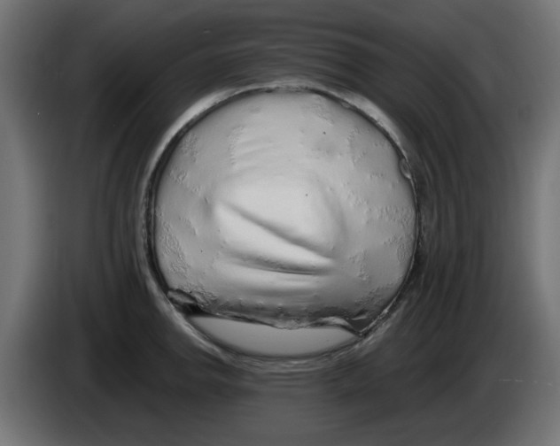 X0000083021142200703021957