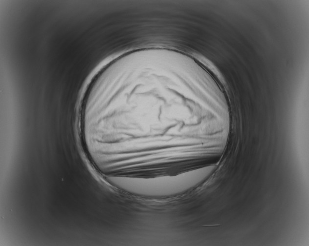 X0000083021144200703021957