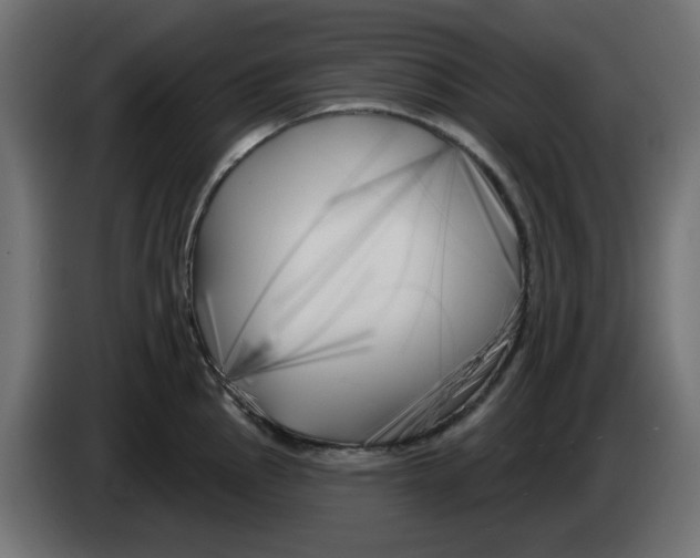 X0000083021145200703021957