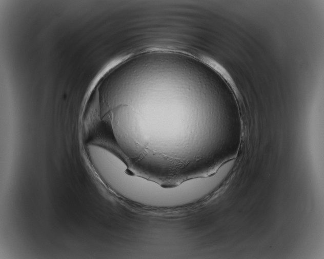 X0000083021146200703021957