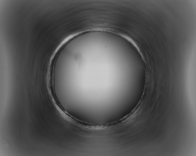 X0000083021147200703021957