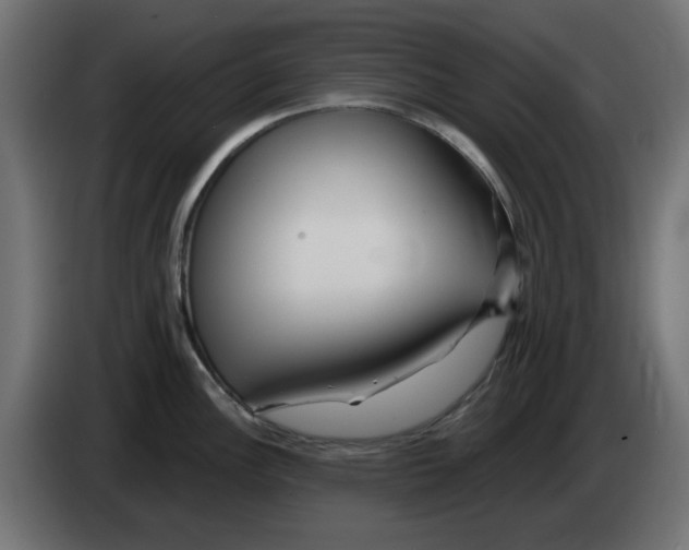 X0000083021148200703021957