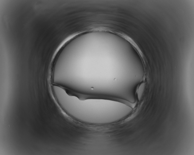 X0000083021149200703021957