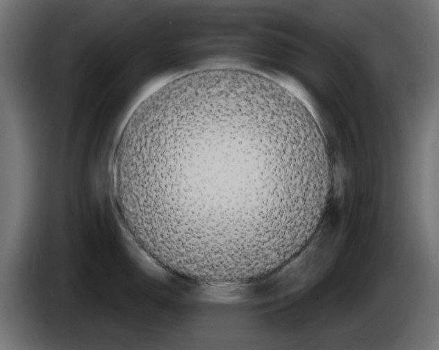 X0000083021150200703021957