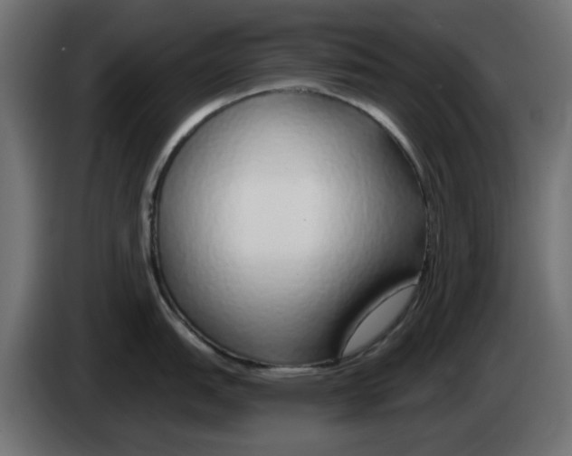 X0000083021151200703021957
