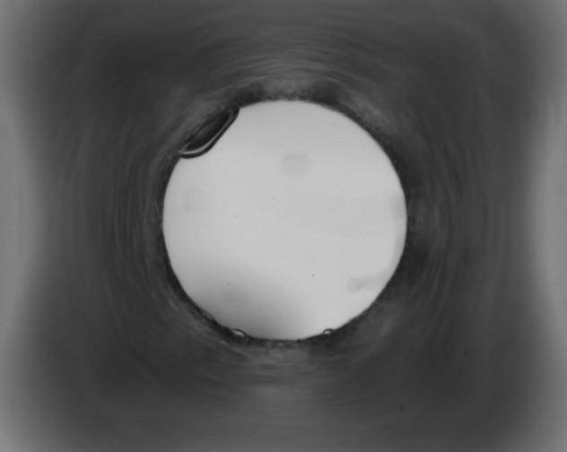 X0000083021153200703021956