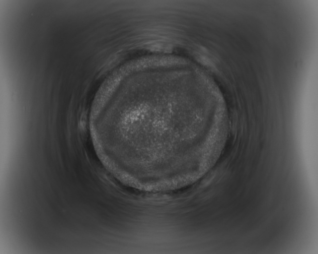 X0000083021154200703021956