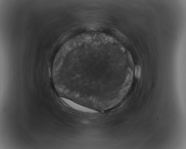X0000083021155200703021956