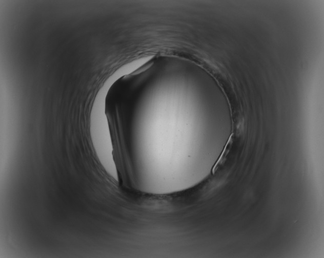 X0000083021156200703021956