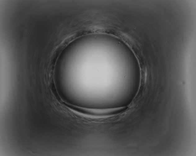 X0000083021157200703021956